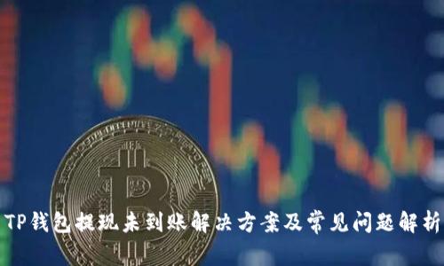 TP钱包提现未到账解决方案及常见问题解析