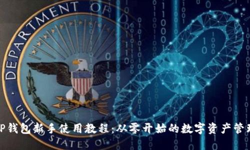 TP钱包新手使用教程：从零开始的数字资产管理