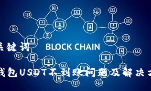 及关键词

TP钱包USDT不到账问题及解决方案