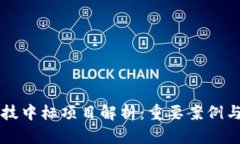 区块链科技中标项目解析