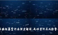 区块链暴富行为深度解析