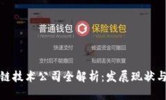 海南区块链技术公司全解