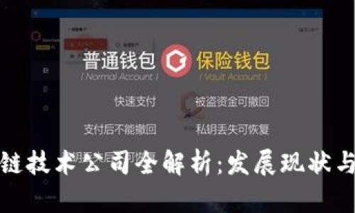 海南区块链技术公司全解析：发展现状与未来趋势