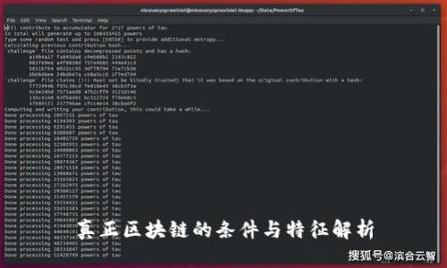 真正区块链的条件与特征解析