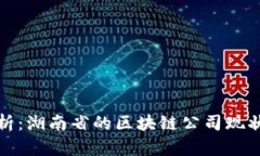 全面解析：湖南省的区块