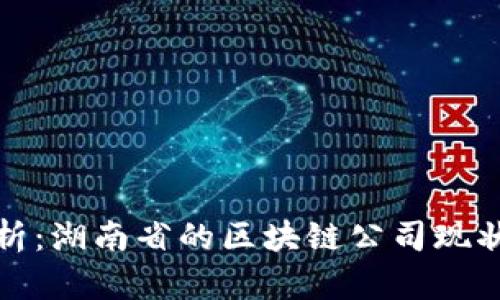 全面解析：湖南省的区块链公司现状与发展
