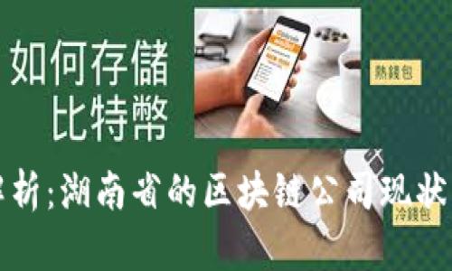 全面解析：湖南省的区块链公司现状与发展