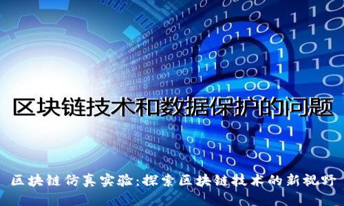 区块链仿真实验：探索区块链技术的新视野