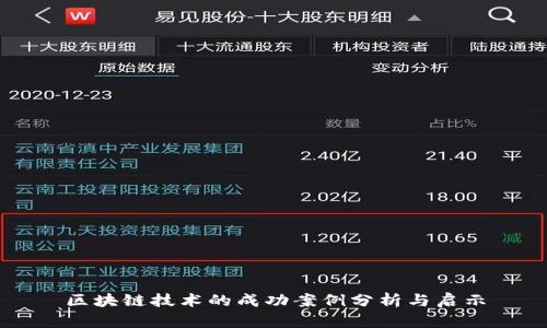 区块链技术的成功案例分析与启示