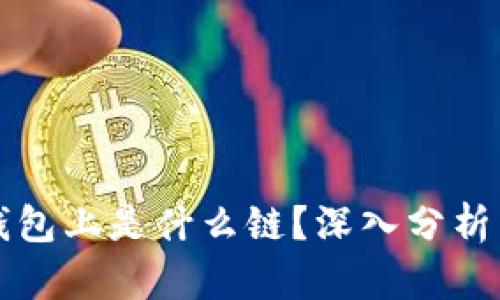  xch在tp钱包上是什么链？深入分析与实用指南