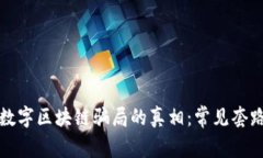 揭开数字区块链骗局的真