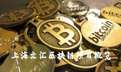 上海文汇区块链项目概览