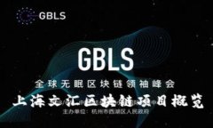 上海文汇区块链项目概览