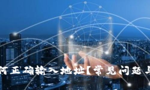 TP钱包如何正确输入地址？常见问题与解决方案