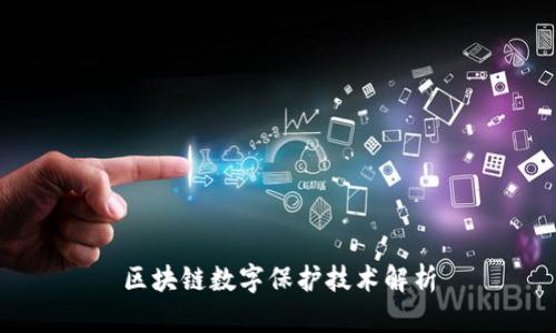 区块链数字保护技术解析