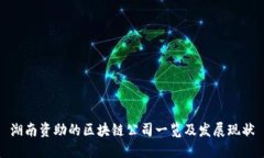 湖南资助的区块链公司一