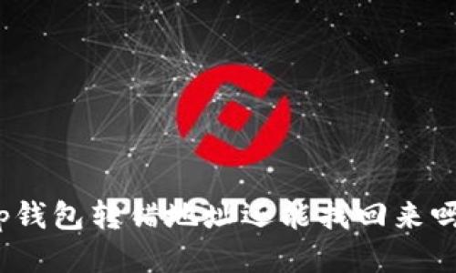 tp钱包转错地址还能找回来吗？