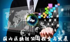 国内区块链公司探索与发展