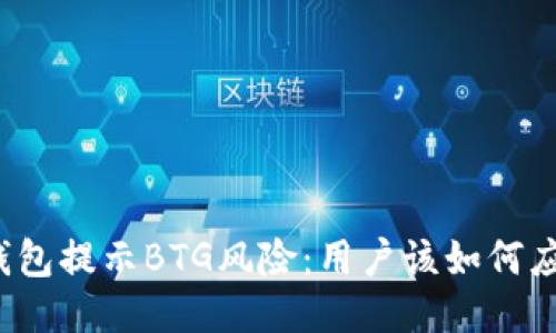 TP钱包提示BTG风险：用户该如何应对？