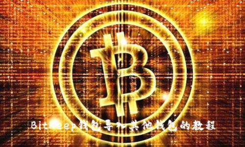 BitKeep钱包导入其他钱包的教程