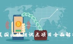 美国区块链试点项目全面