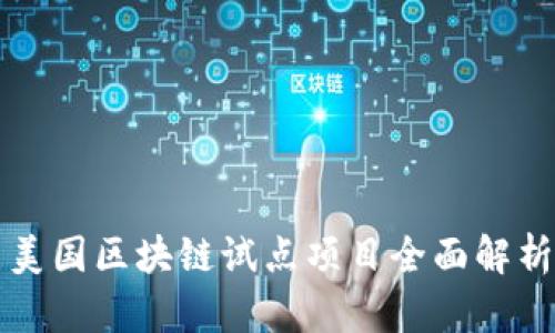 美国区块链试点项目全面解析