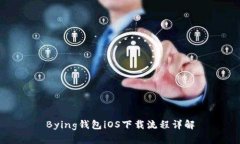 Bying钱包iOS下载流程详解