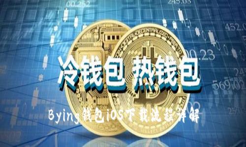 Bying钱包iOS下载流程详解