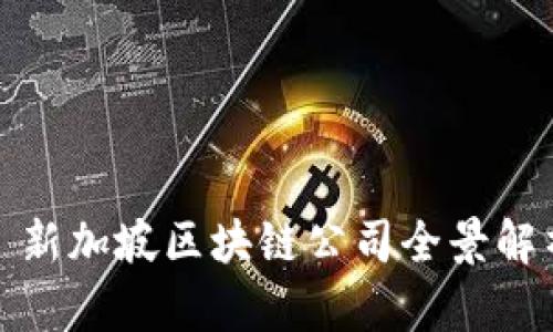 : 新加坡区块链公司全景解析