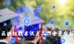 区块链技术试点工作全景分析