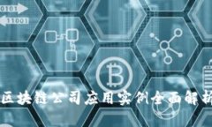 区块链公司应用实例全面