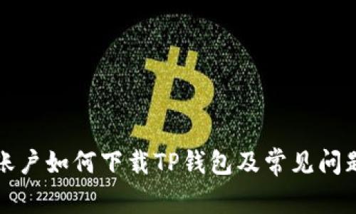 海外账户如何下载TP钱包及常见问题解析