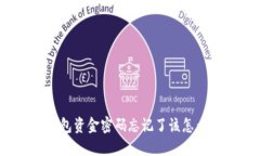 TP钱包资金密码忘记了该怎