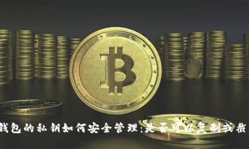TP钱包的私钥如何安全管理：是否可以复制或截图？