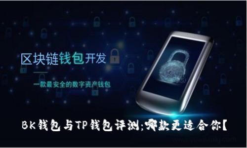BK钱包与TP钱包评测：哪款更适合你？