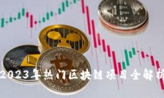 2023年热门区块链项目全解