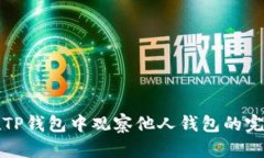 如何在TP钱包中观察他人钱