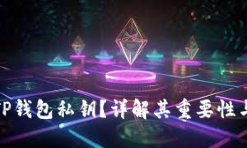 : 什么是TP钱包私钥？详解其重要性与使用方法