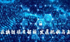第二批区块链项目解析：发展现状与未来趋势