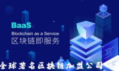 全球著名区块链加盟公司