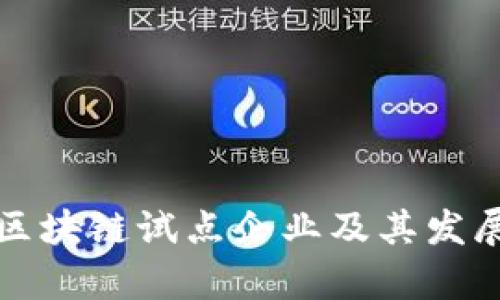 贵阳区块链试点企业及其发展现状