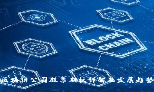 区块链公司股票期权详解及发展趋势