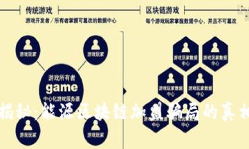 揭秘：能源区块链加盟骗局的真相
