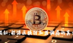 揭秘：能源区块链加盟骗