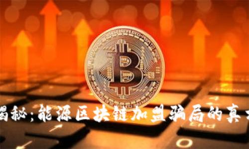 揭秘：能源区块链加盟骗局的真相