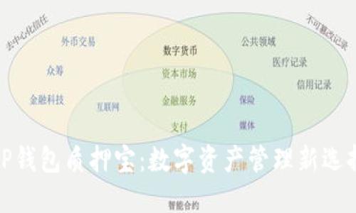 TP钱包质押宝：数字资产管理新选择