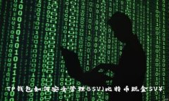 TP钱包如何安全管理BSV（比