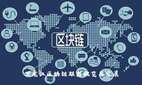黑龙江区块链联盟概览与发展