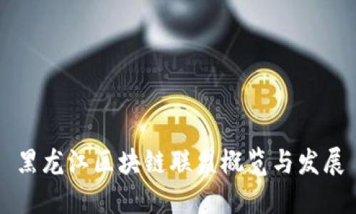 黑龙江区块链联盟概览与发展