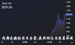 成都区块链项目全景：最